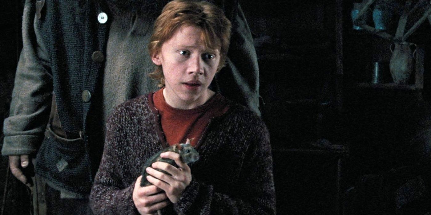 Harry Potter 10 Things Only Book Fans Know About Sirius Black