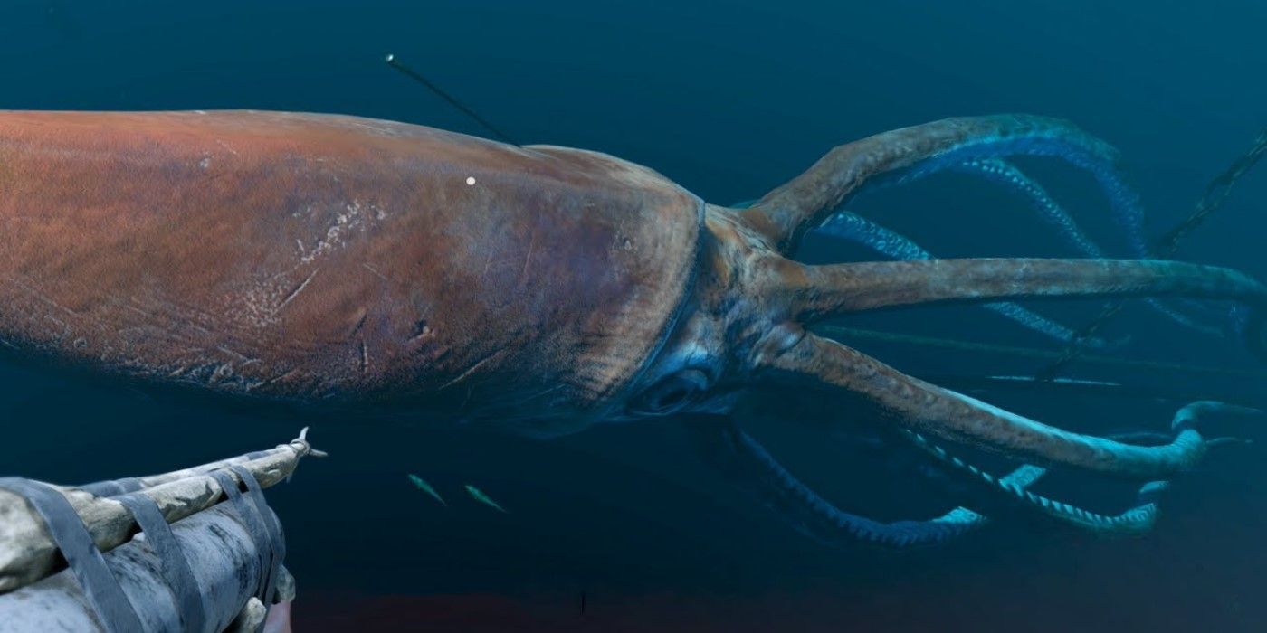 Самые тяжелые организмы. Антарктический гигантский кальмар. Architeuthis Dux гигантские кальмары. Гигантский кальмар (Архитеутис) Кракен.