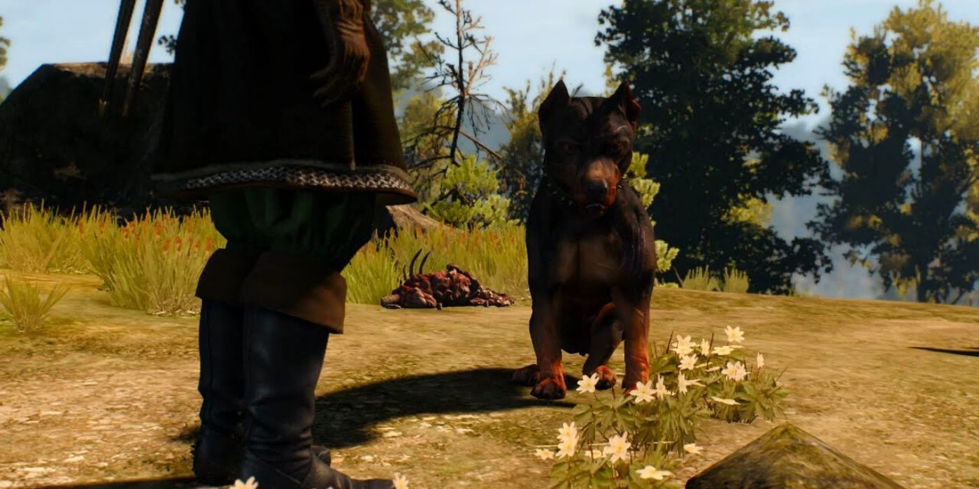 10 Witcher Monsters That Are Actually Criminally Cute