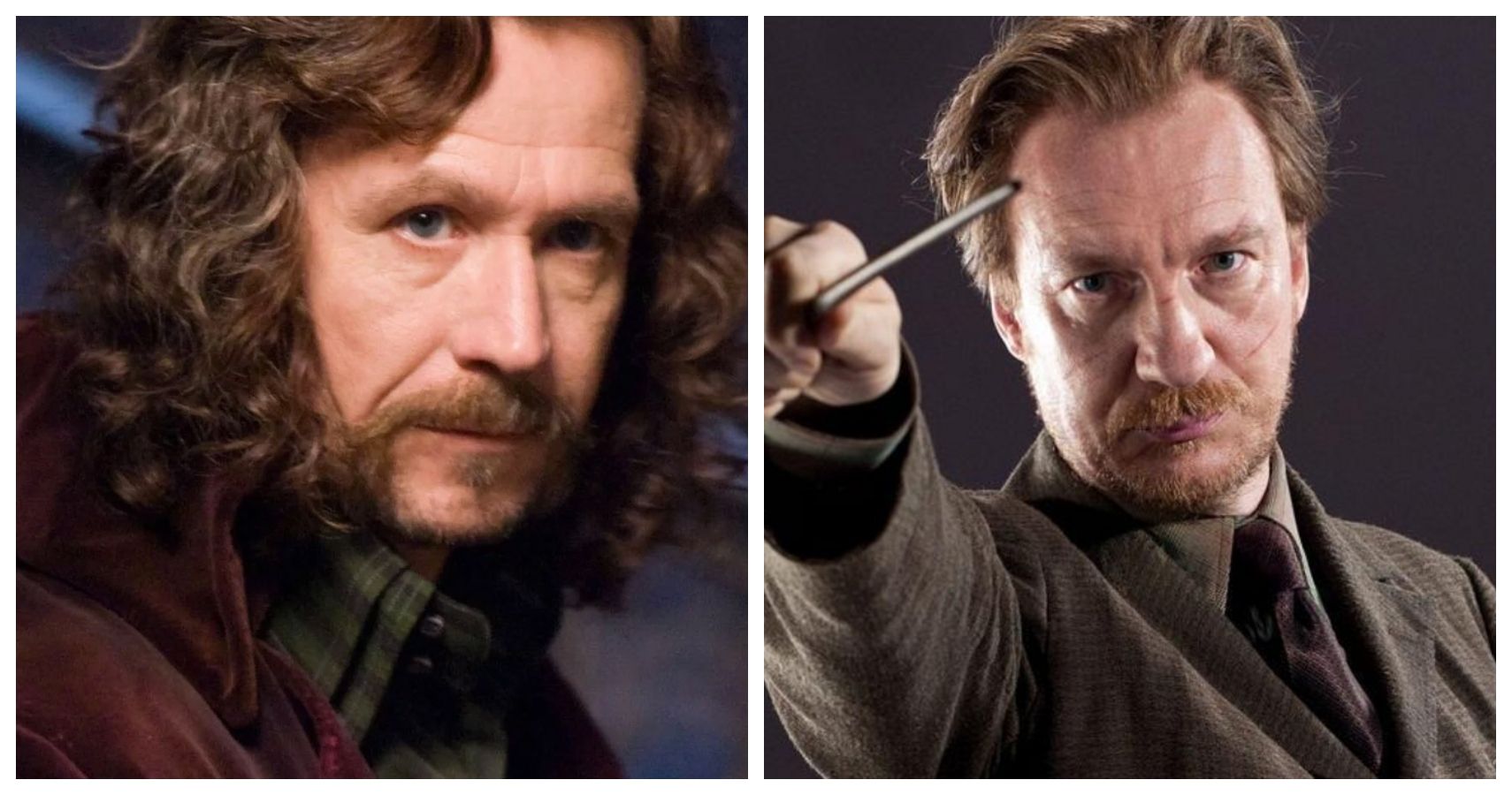 Harry Potter 5 Reasons Sirius Black Was Harry’s Best Mentor (& 5 It Was Lupin)