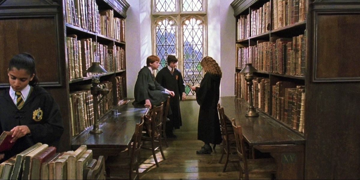 Harry Potter Library With Ron and Hermione Reading Boooks
