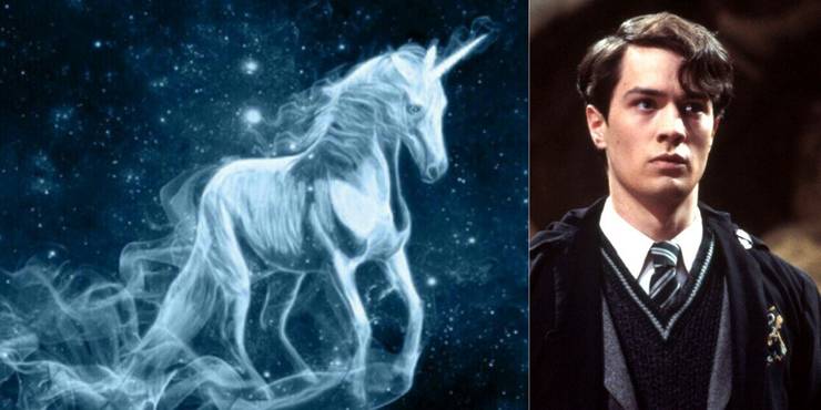 Harry Potter 5 Patronus Animals Capricorn Would Likely Have 5 They Never Would