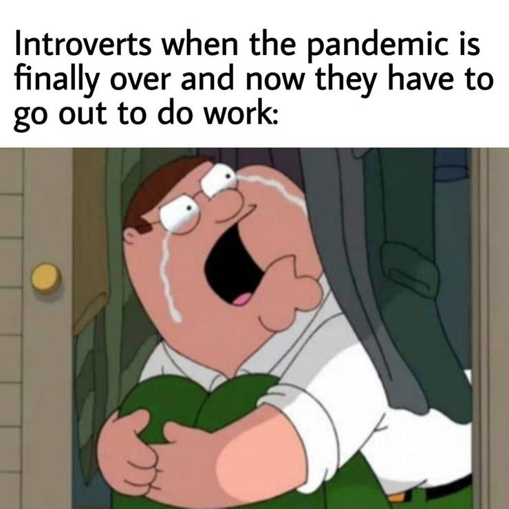 Best Work From Home Memes To Share With Friends Co Workers