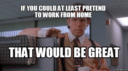 Best Work From Home Memes To Share With Friends Co Workers
