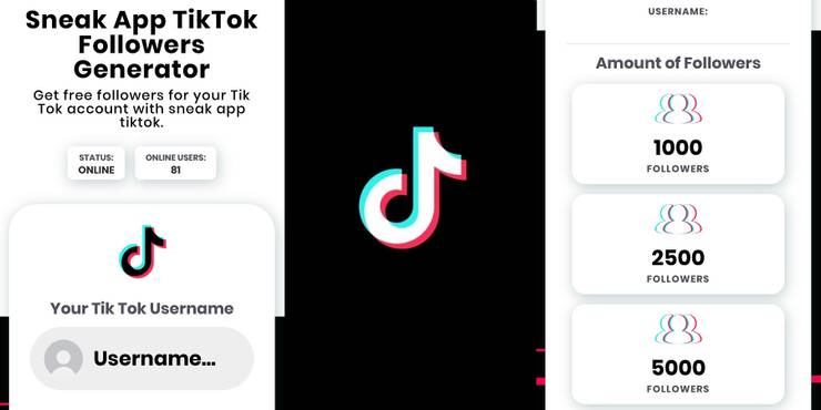 How To Get Verified On Tiktok Without 1000 Followers لم يسبق له