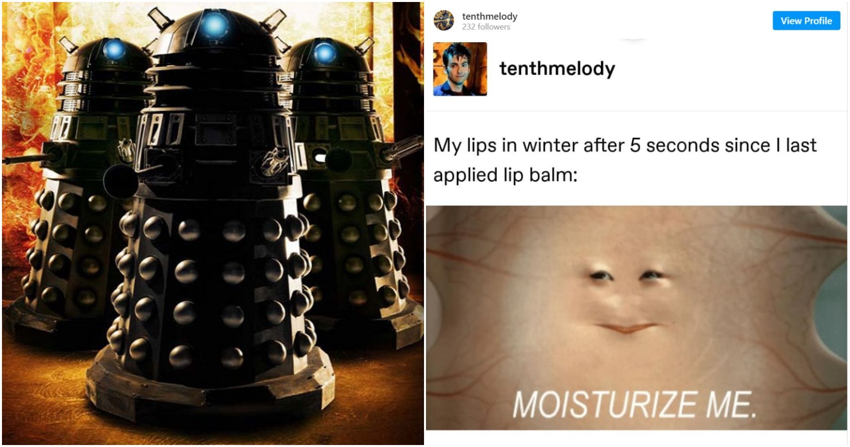 Doctor Who 10 Hilarious Alien Memes