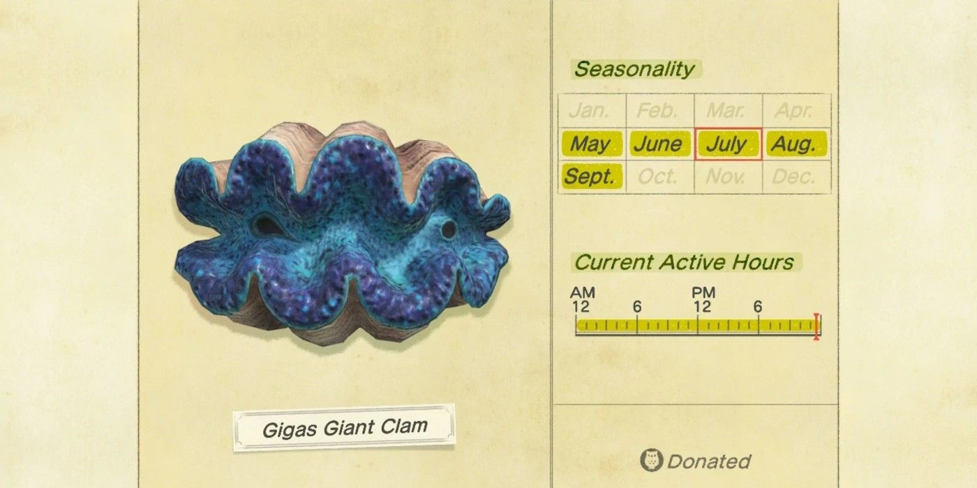 How to Find (& Catch) The Gigas Giant Clam in Animal Crossing