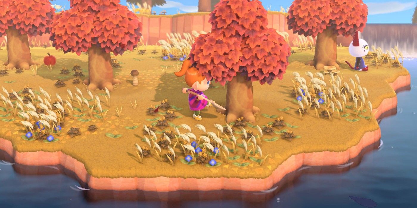 Animal Crossing: New Horizons' Worst Island Designs So Far