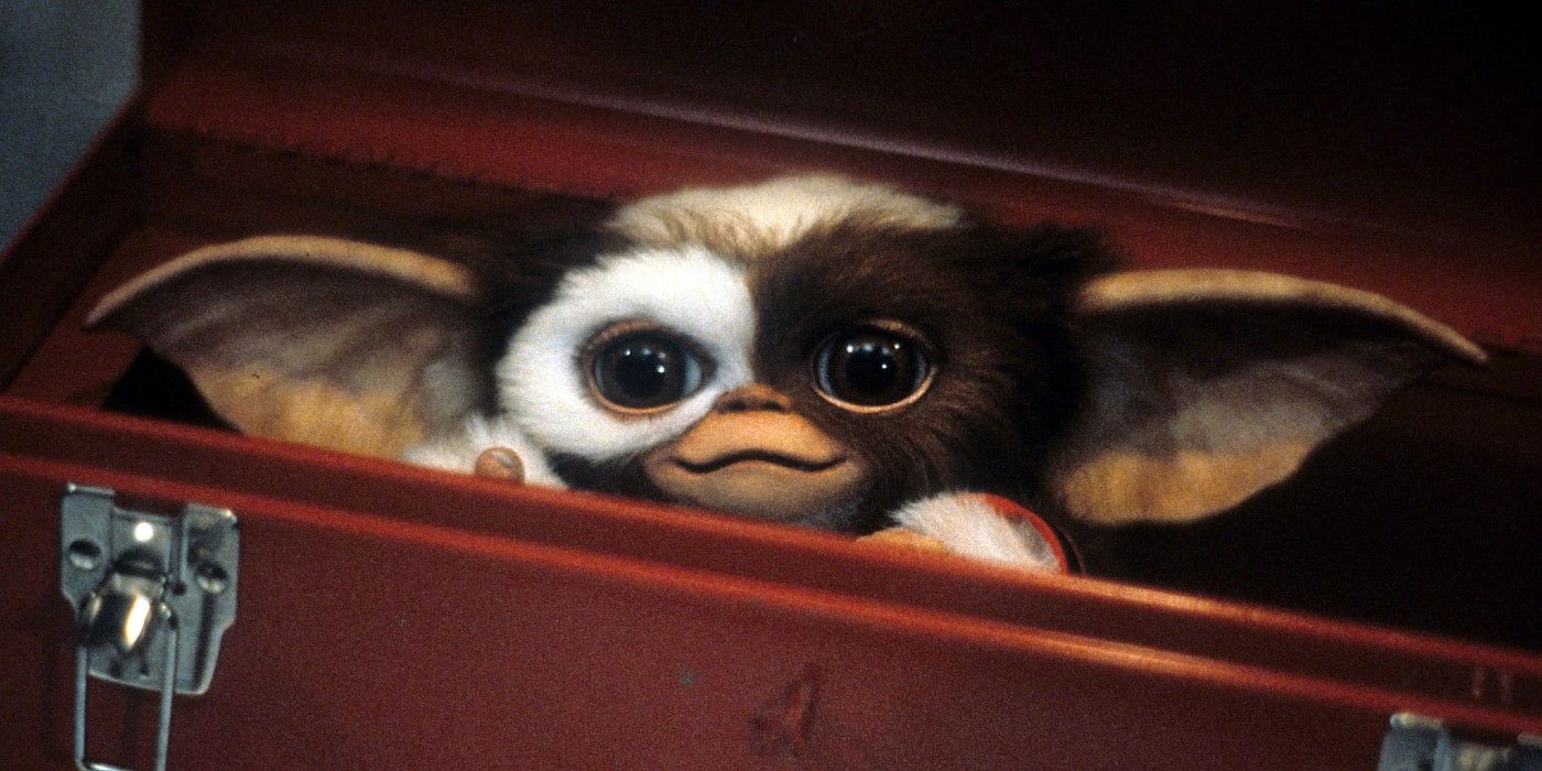 Gizmo Will Be Recast For Hbo Max Gremlins Tv Show Screen Rant