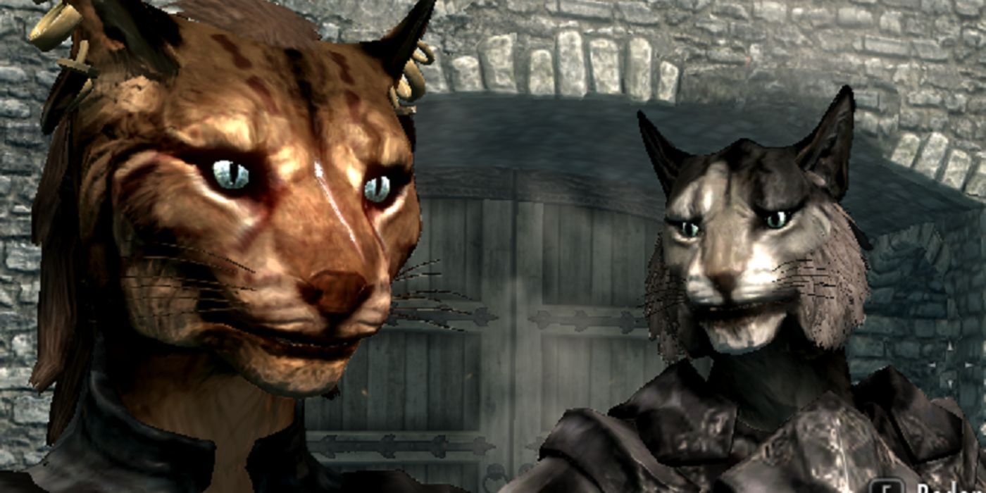 what breed of khajiit are in skyrim
