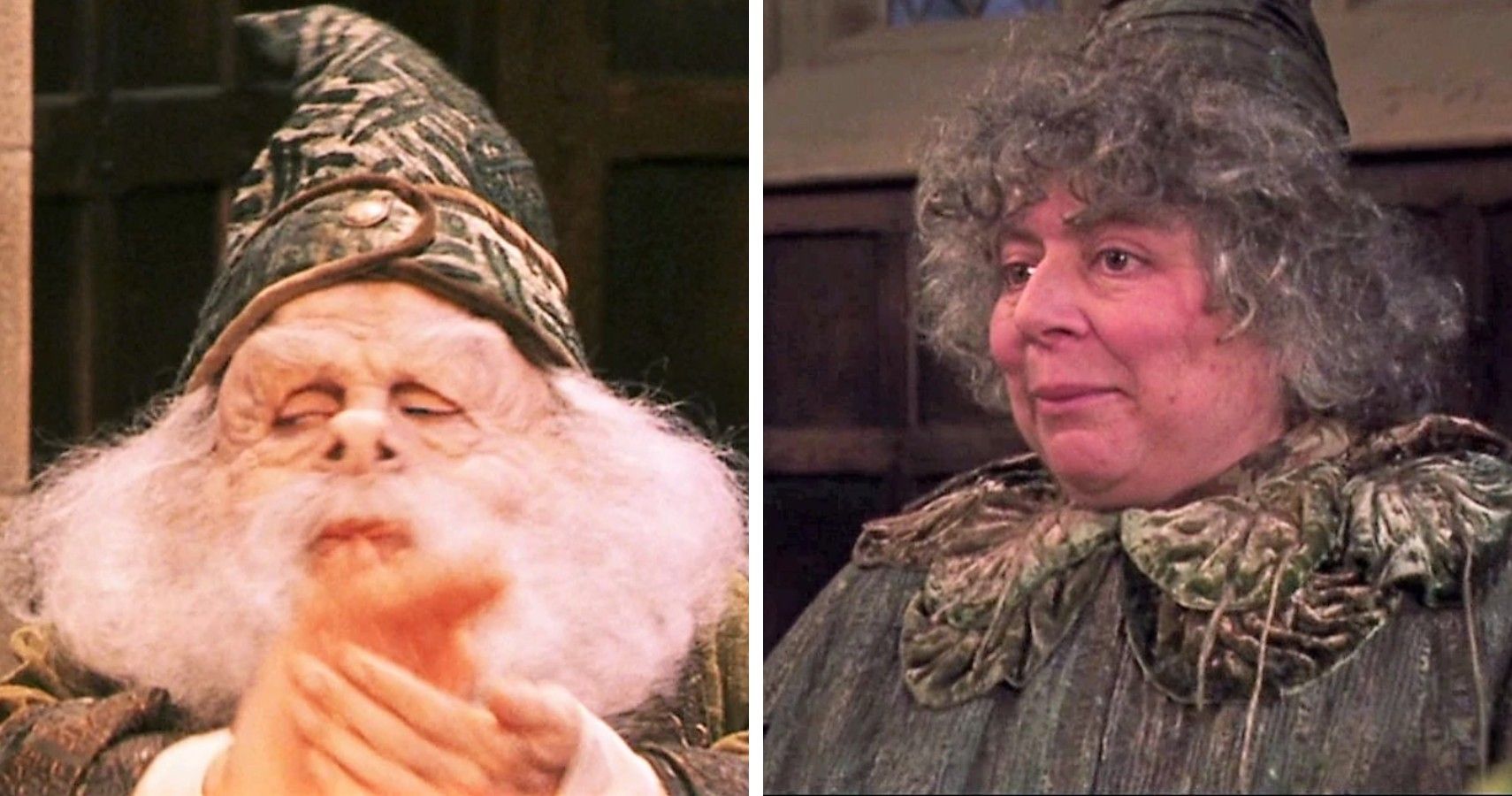 Harry Potter 5 Reasons Professor Flitwick Was The Most Underrated Teacher (& 5 Reasons It Was Professor Sprout)