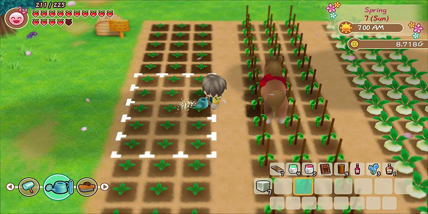 cheats for harvest moon friends of mineral town