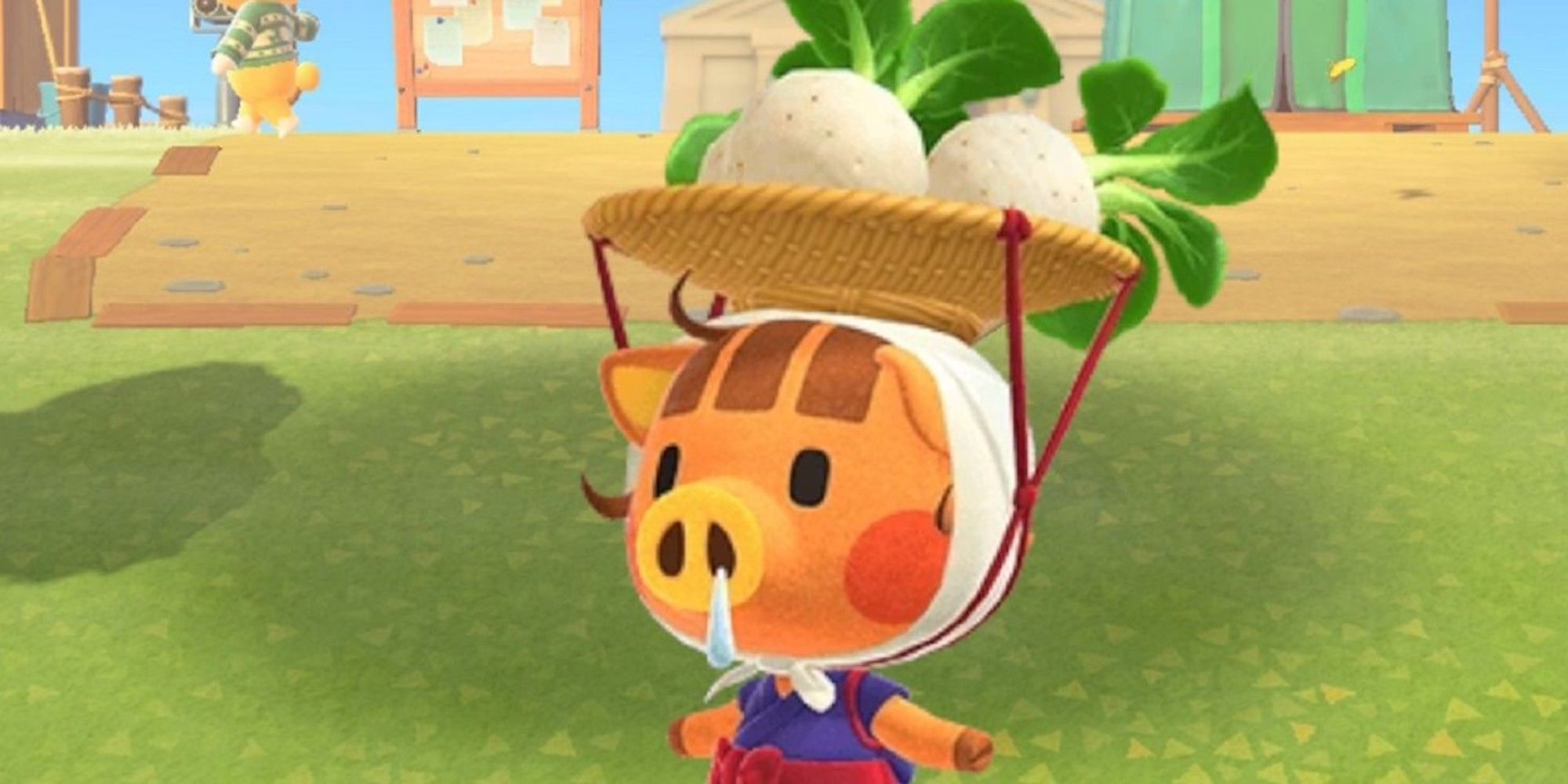 Why Daisy Mae Is So Hard To Find In Animal Crossing