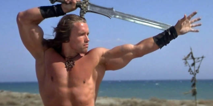 10 Best Arnold Schwarzenegger Movies According To IMDb