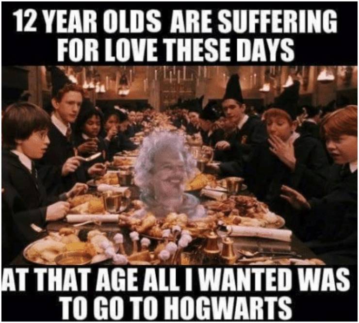 Harry Potter 10 Hogwarts Memes Devoted Fans Will Love