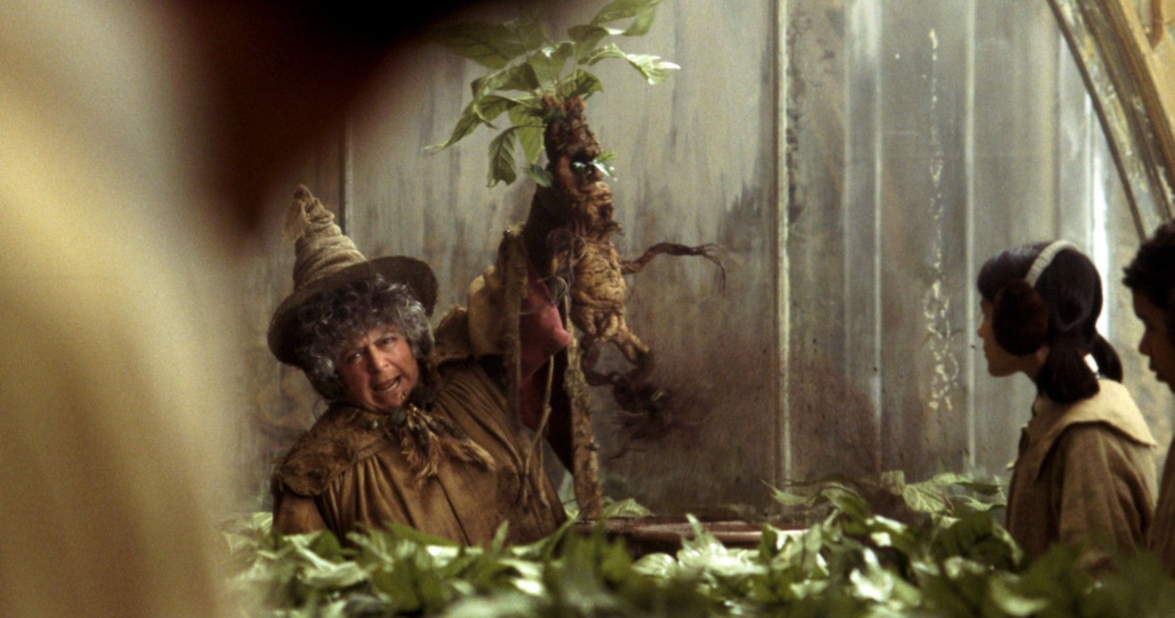 Harry Potter The 10 Most Useful Plants In The Wizarding World