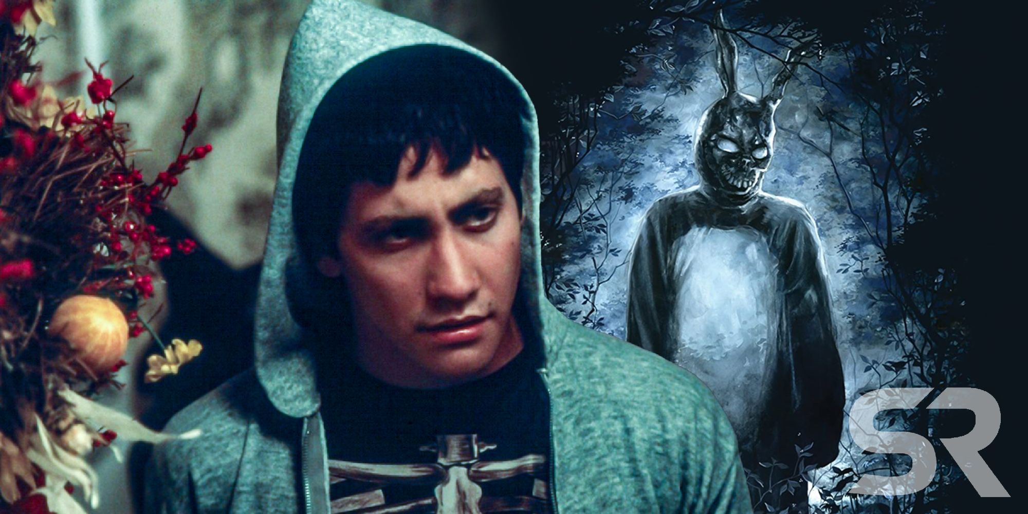 Donnie Darko Timeline & Ending Explained