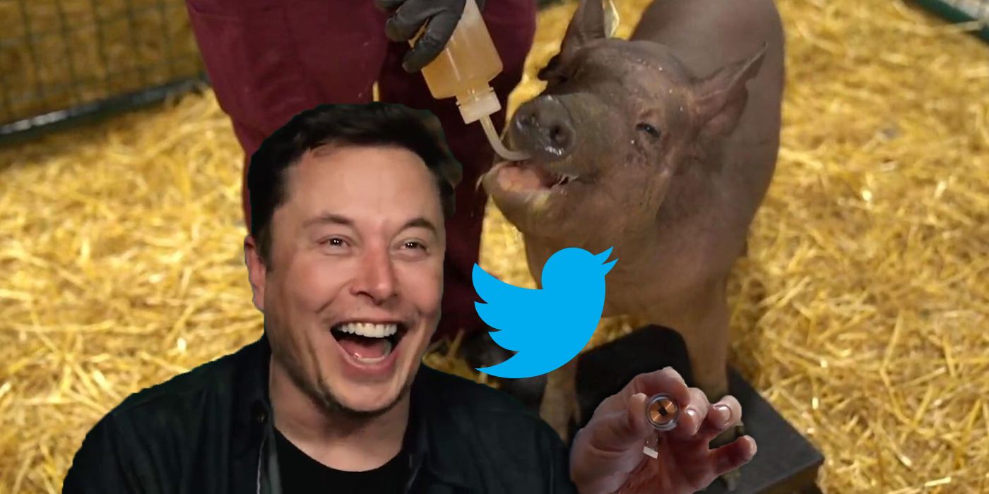 How Twitter Reacted To Elon Musk's Neuralink Brain ...