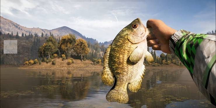 Fishing Records Far Cry 5