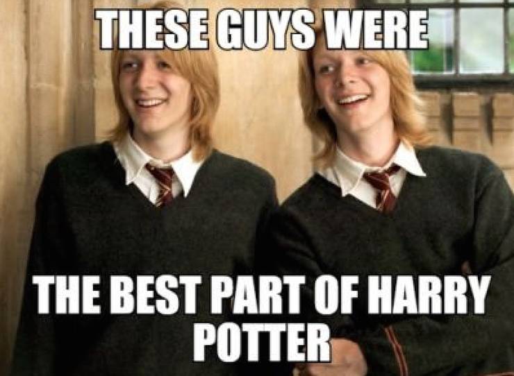 Harry Potter 10 Memes That Fred And George Fans Will Love