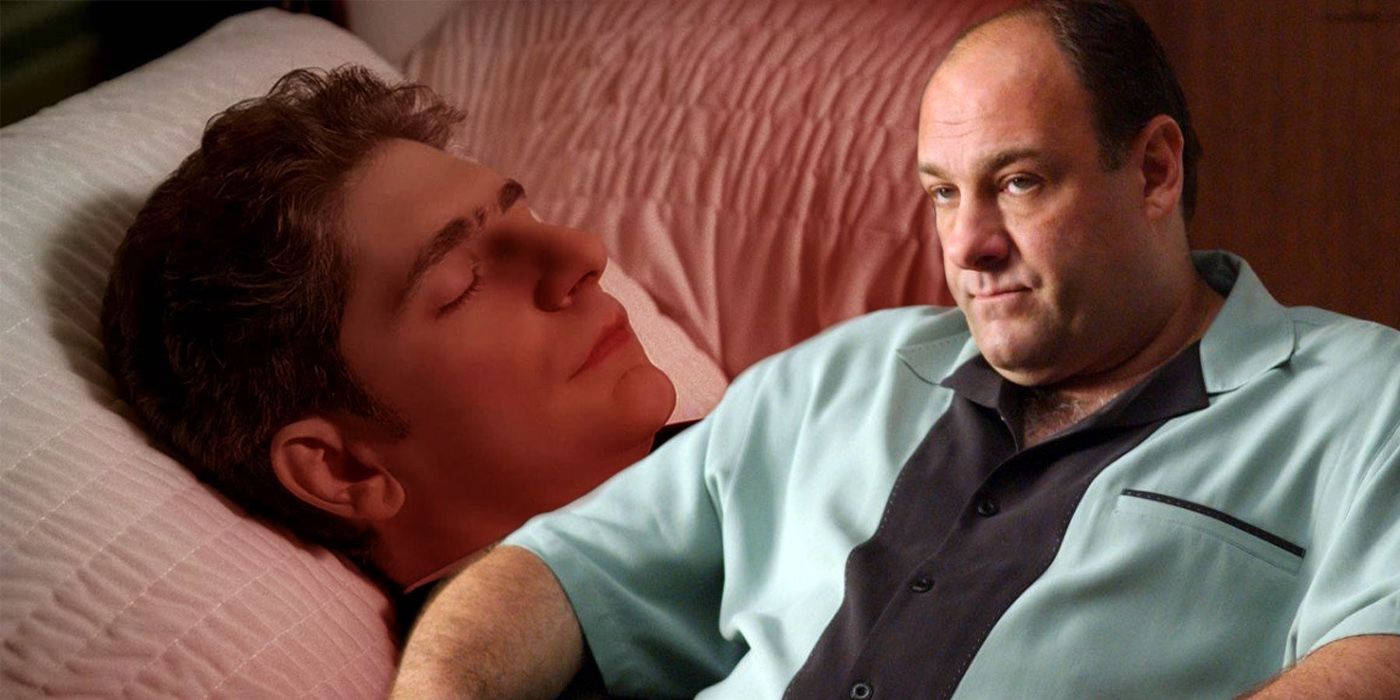 The Sopranos Why Tony Killed Christopher In Season 6 - Wechoiceblogger