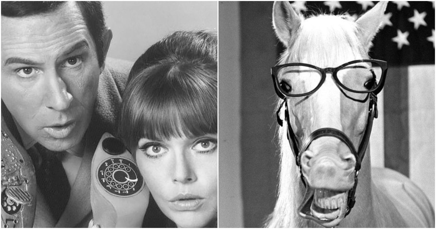 The Most Popular And Influential Tv Shows Of The 1960s Story Wealth ...