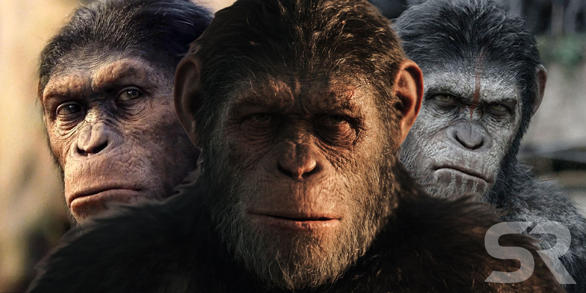 Rise of the Planet of the Apes 2011. Kingdom of the Planet of the Apes. Dawn of the Planet of the Apes Caesar.