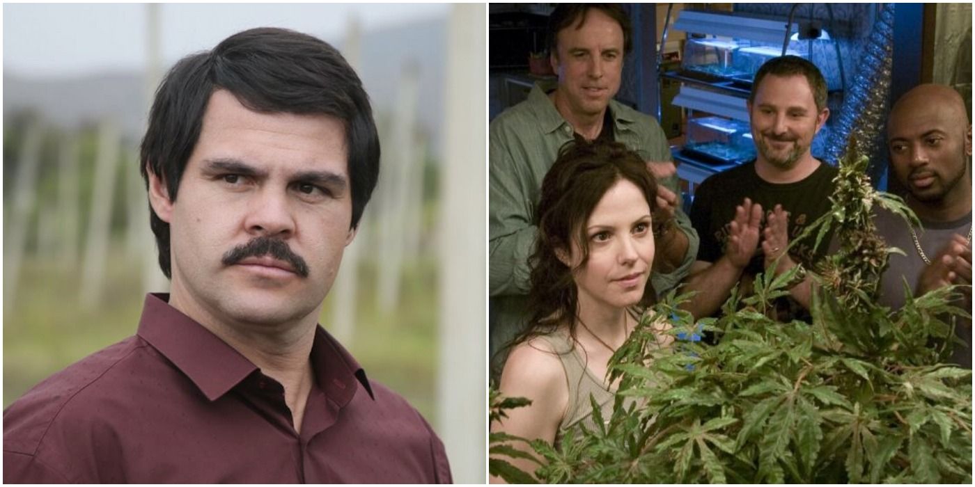 10-drug-lord-themed-shows-to-watch-if-you-loved-narcos