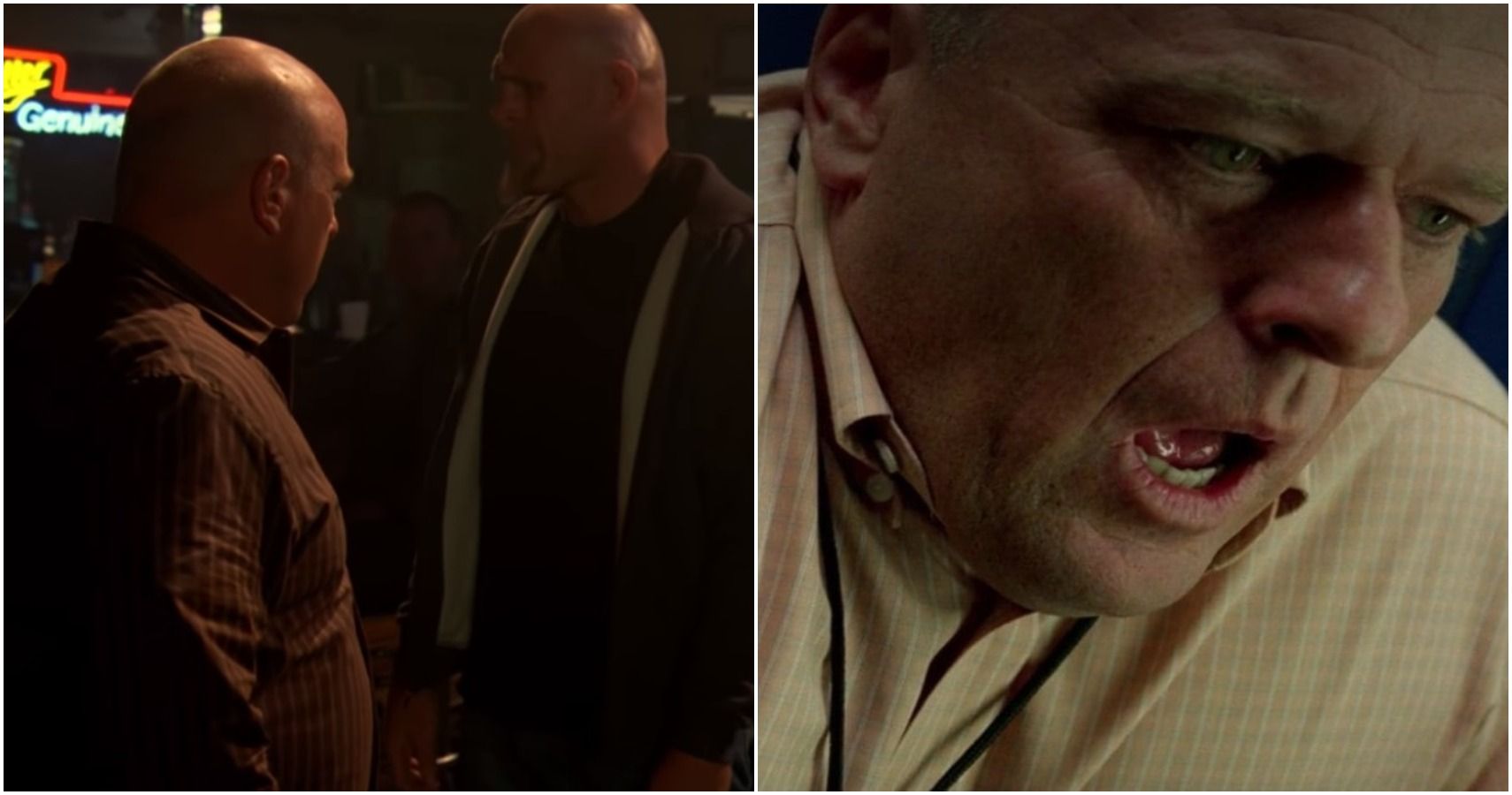 Breaking Bad 5 Times We Felt Bad for Hank (& 5 Times We Hated Him)