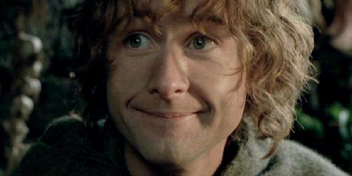 Lord Of The Rings Fellowship Ranked LeastMost Likely To Win The Hunger Games