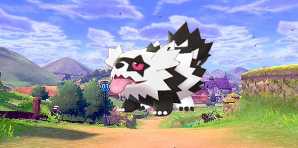 Pokemon Go How To Find Catch Shiny Galarian Zigzagoon Pokemon Go How To Find Catch Shiny Galarian Zigzagoon