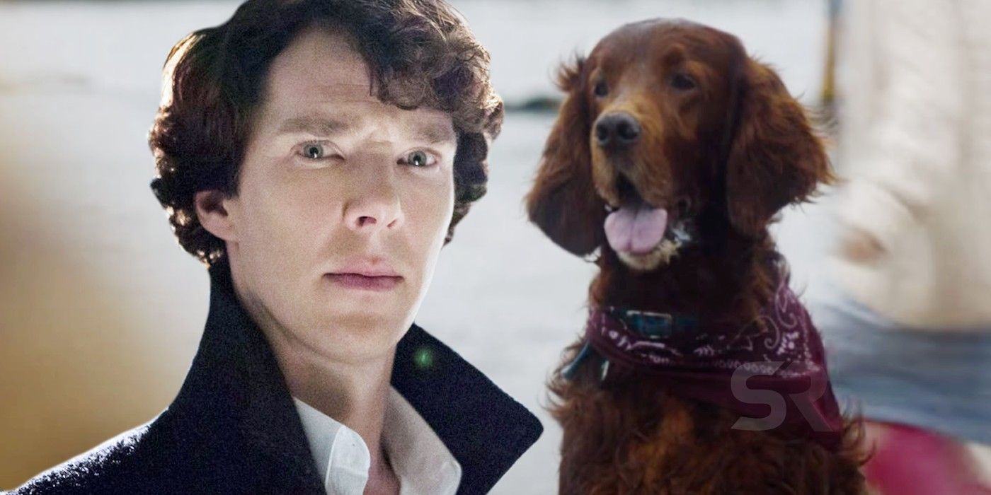 Sherlock Who Was Redbeard Backstory Real Identity & Dog Twist Explained