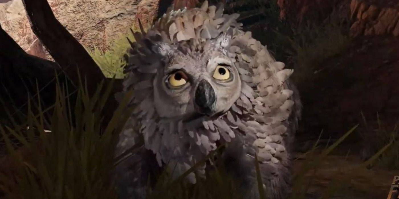 How to Get The Owlbear Cub in Baldur's Gate 3 | Screen Rant