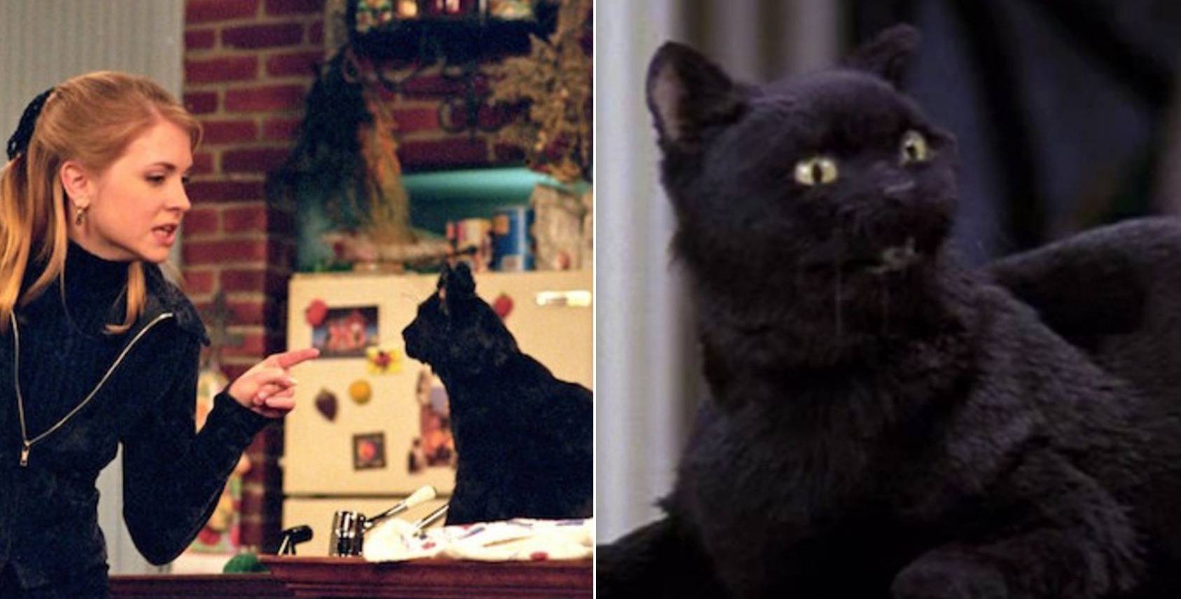 Featured image of post Sabrina The Teenage Witch Salem Quotes That one in hocus pocus being a close second obviously