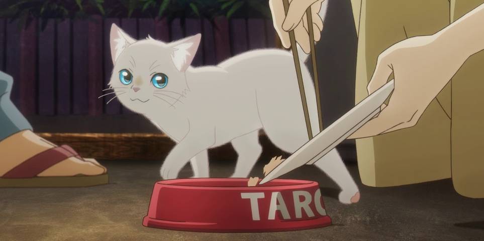 10 Animated Cat Movies For Cat Lovers Screenrant