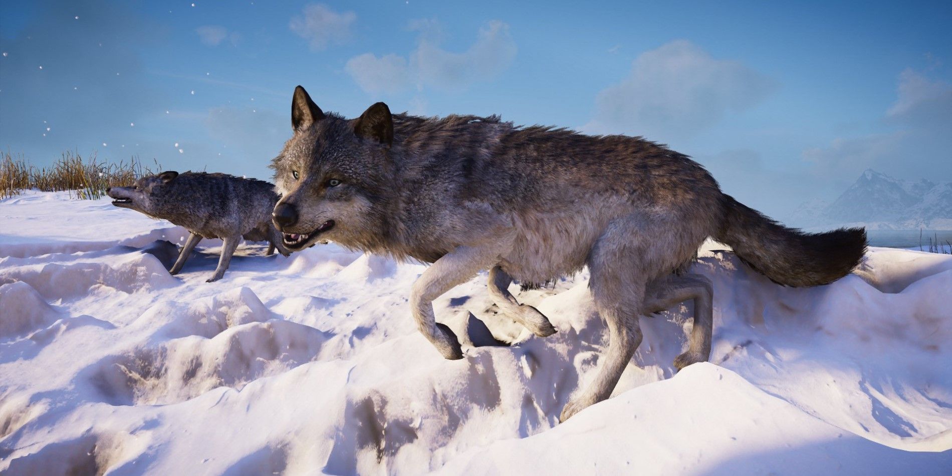 How to Find The Legendary GemadWulf Location in Assassin’s Creed Valhalla