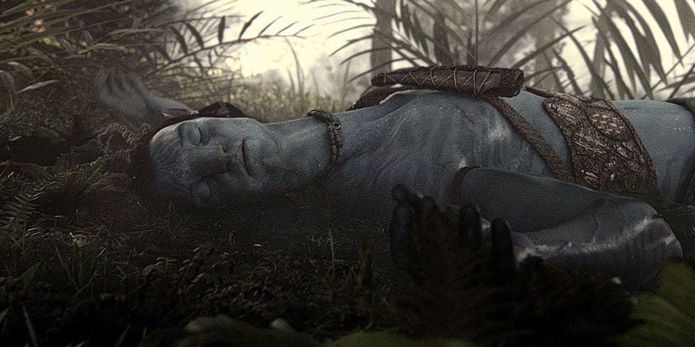 Avatar 10 Things That Make No Sense About The James Cameron MegaHit