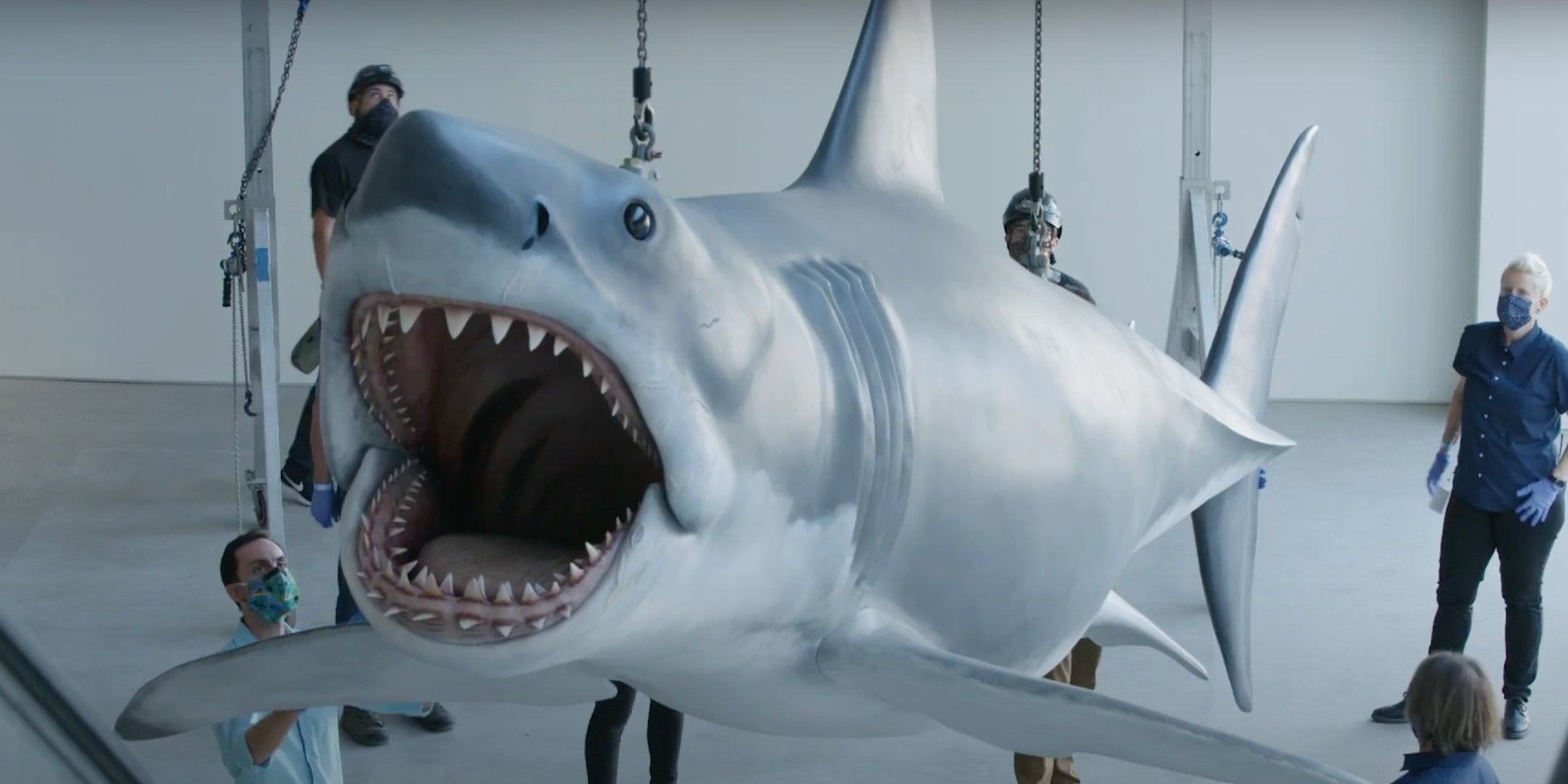 Jaws Only Surviving Shark Model Installed At Academy Museum Whole Story