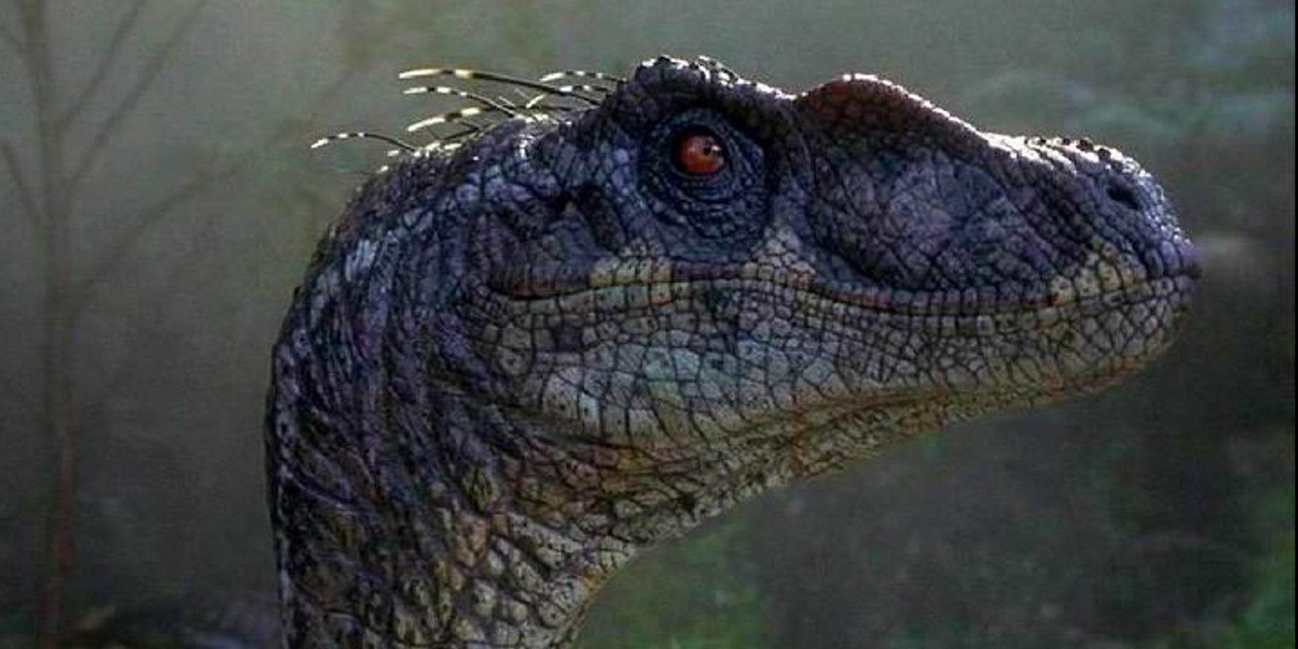 Why Jurassic Park 3s Raptors Are Completely Different 