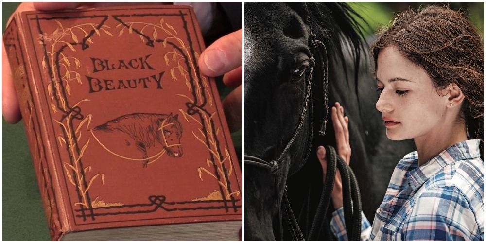 Black Beauty (2020) 5 Things It Changed From The Original Novel (& 5 Things It Kept The Same)