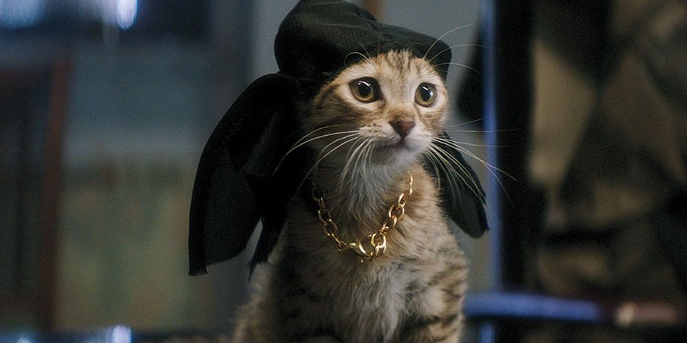 10 Movie Cats That Prove Why They Are Superior To Dogs