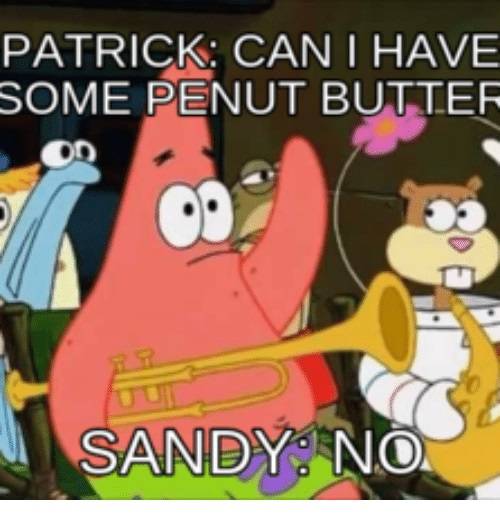 Spongebob Squarepants 10 Sandy Memes That True Fans Will Love