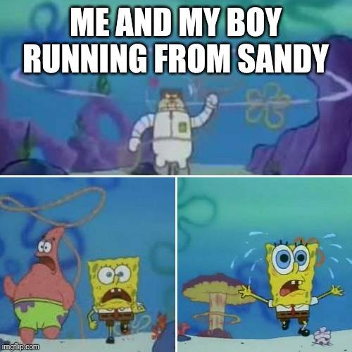 Spongebob Squarepants 10 Sandy Memes That True Fans Will Love Spongebob Squarepants 10 Sandy Memes That True Fans Will Love