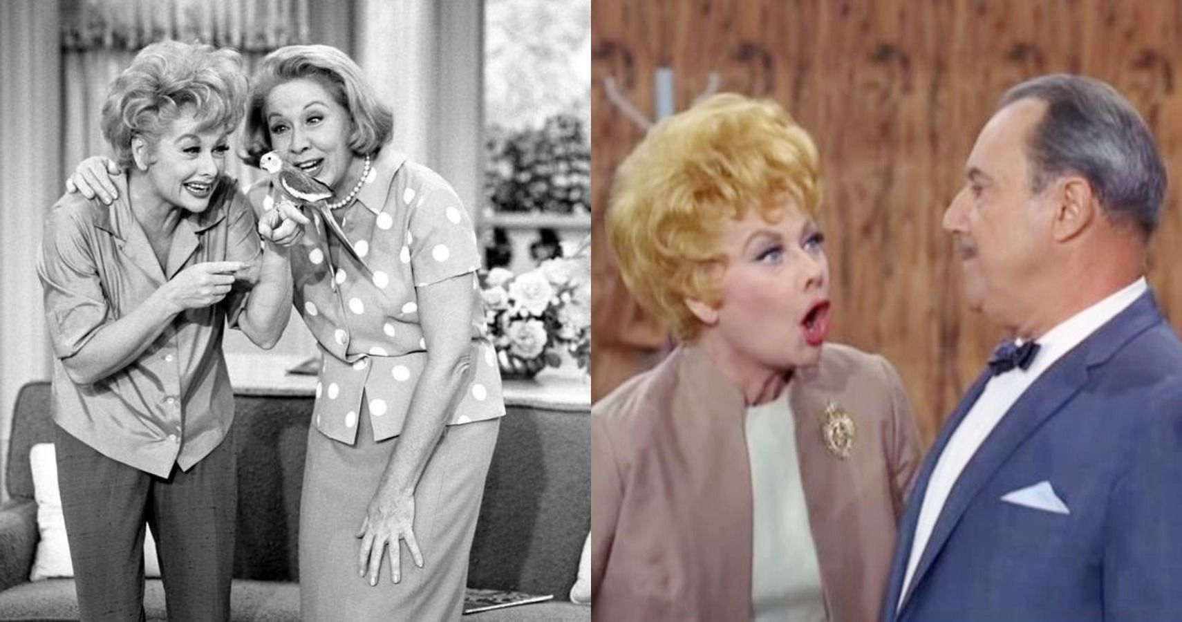 The Lucy Show: The 10 Best Episodes Of Lucille Ball's Sitcom, According ...