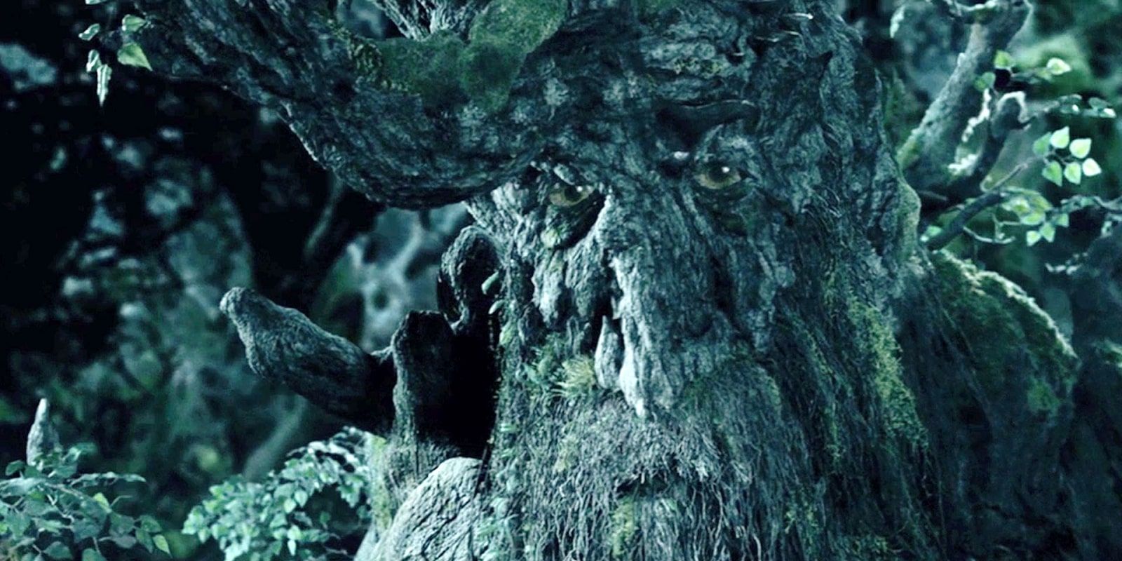 Treebeard for the entry Is Tom Bombadil Older Than Treebeard