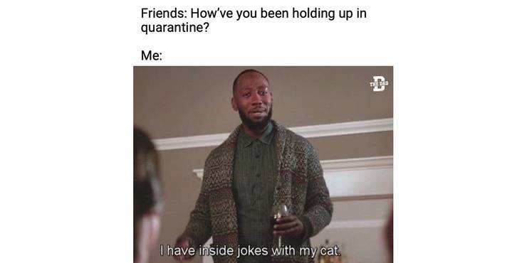 10 Funniest New Girl Memes That Ll Make Fans Laugh Cry 10 Funniest New Girl Memes That Ll Make Fans Laugh Cry
