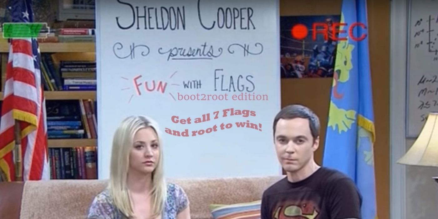 penny and sheldon on fun with flags tbbt