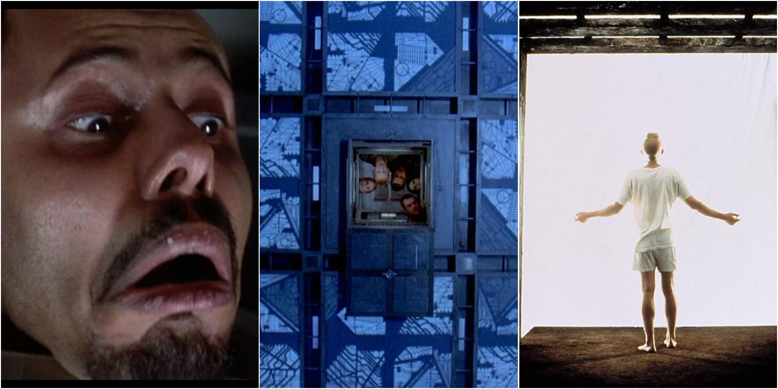 10 Ways Cube Is A Cult Classic