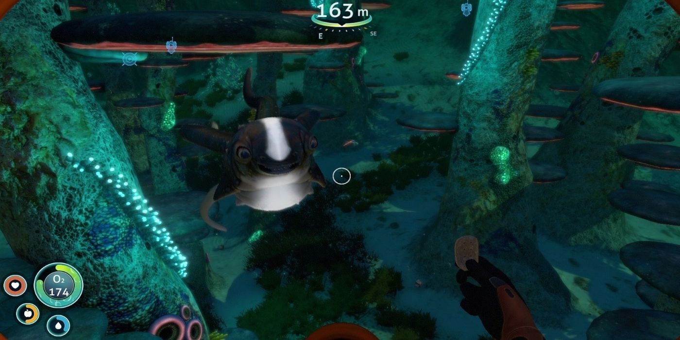 Screen Rant Subnautica Where To Find Cuddlefish Eggs Screen Rant Aktualnosci Steam