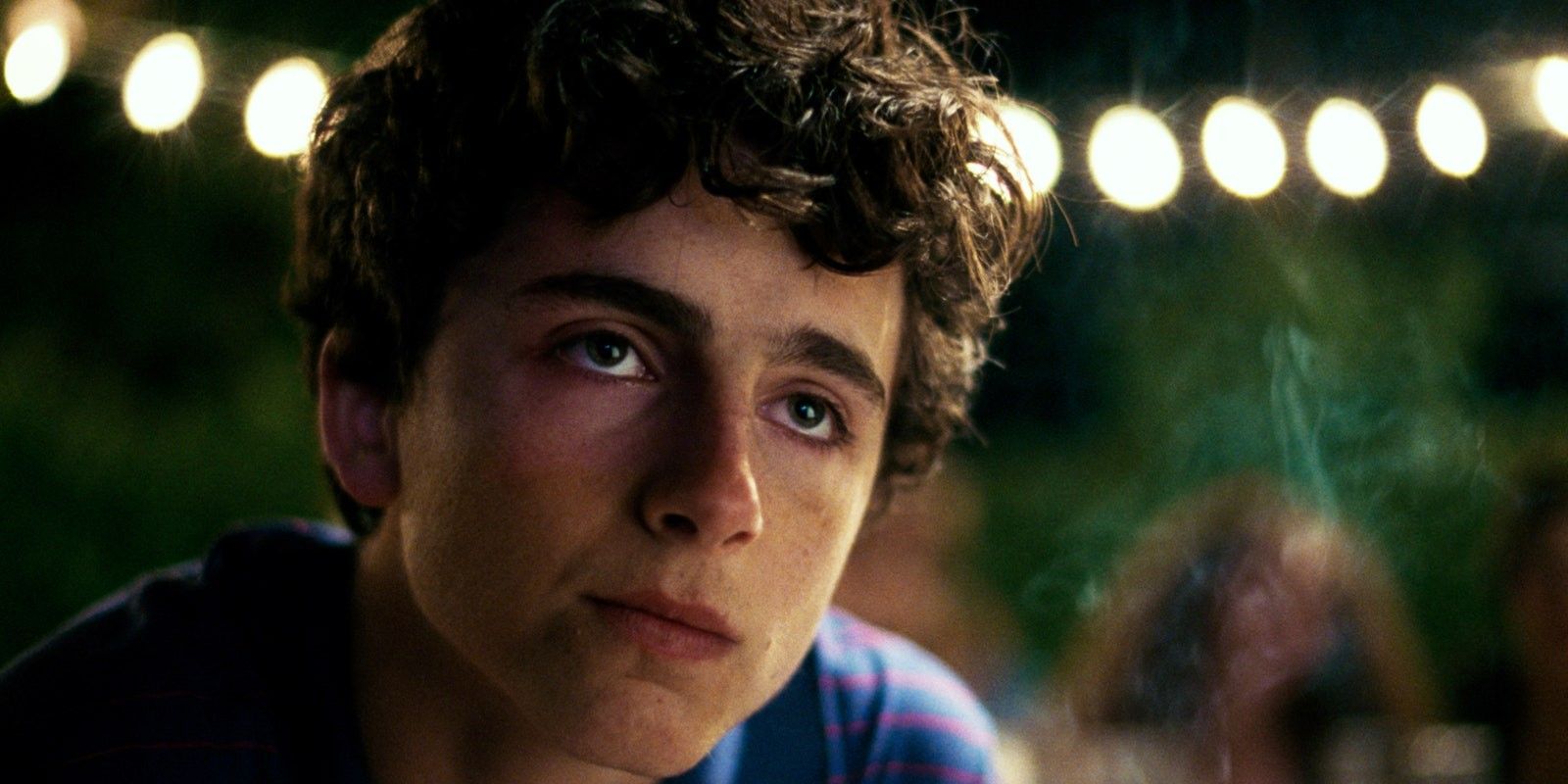 timoth-e-chalamet-call-me-by-your-name-director-eye-cannibal-romance-film